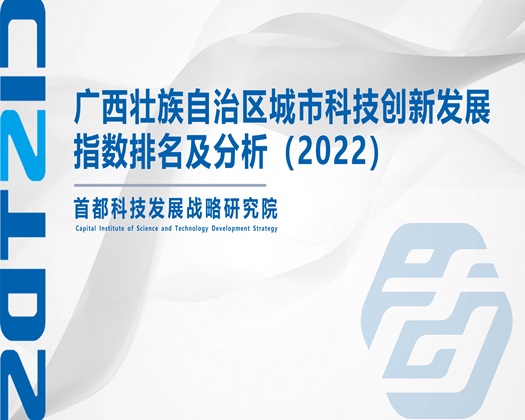 操逼视频免费啊啊【成果发布】广西壮族自治区城市科技创新发展指数排名及分析（2022）